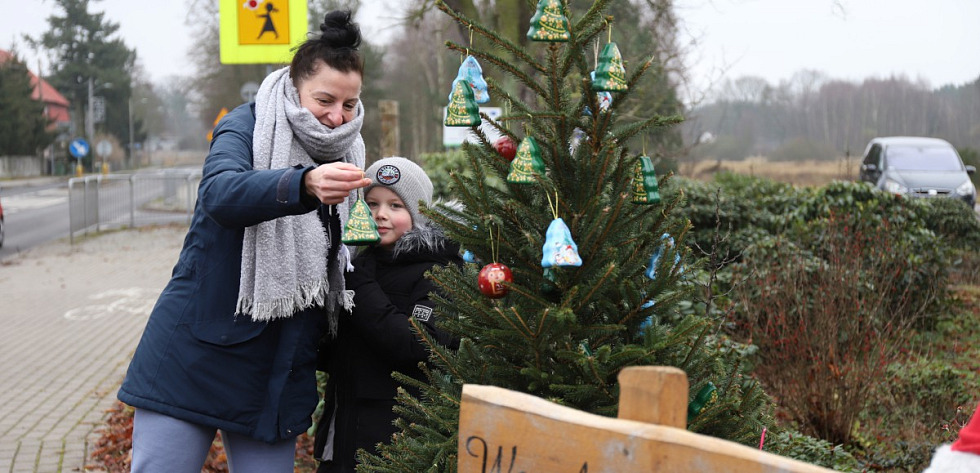 NieZwykła Choinka pełna marzeń
