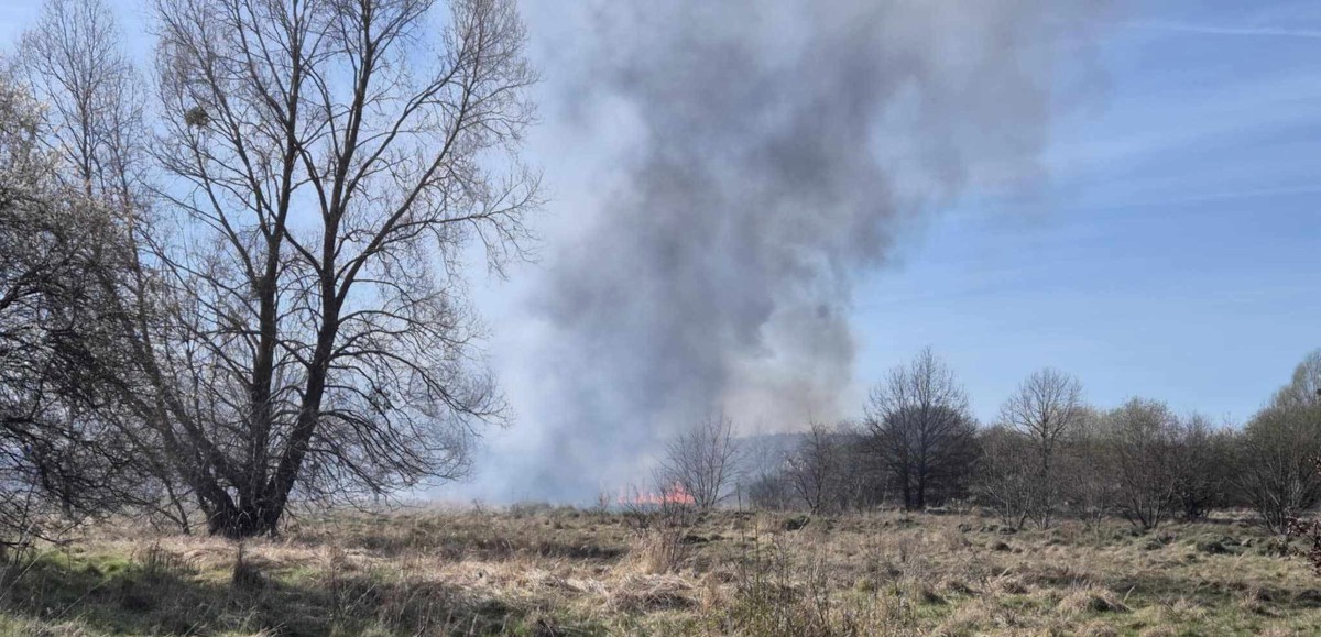 Do pożaru w Wołczkowie doszło około godziny 15:00