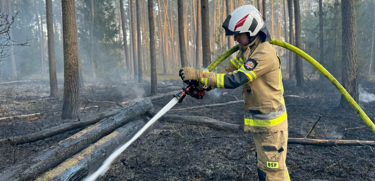 Strażacy gasili pożar między Trzebieżą a Myśliborzem Wielkim